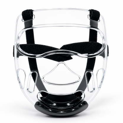 Face Shield