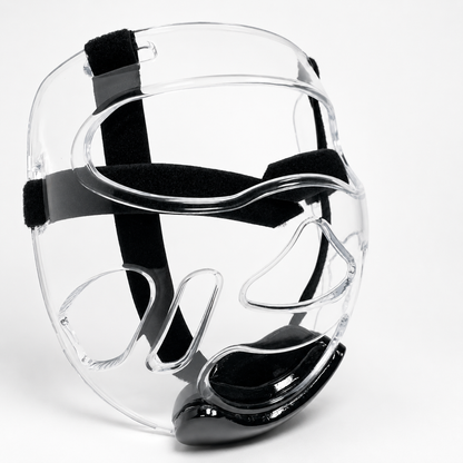 Face Shield