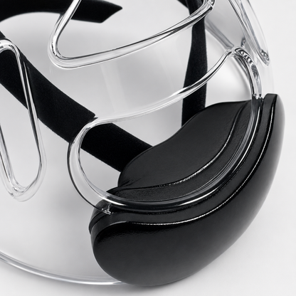 Face Shield